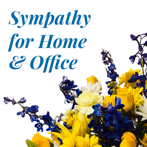 Sympathy For The Home Or Office