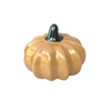 Ceramic Pumpkins