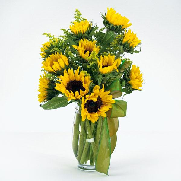 Flower Delivery Florist Funeral Sympathy Naples Sunny Day Sunflowers